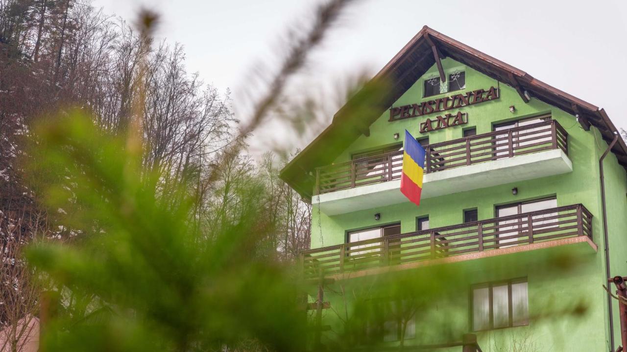 Pensiunea Ana Cavnic Exteriör bild