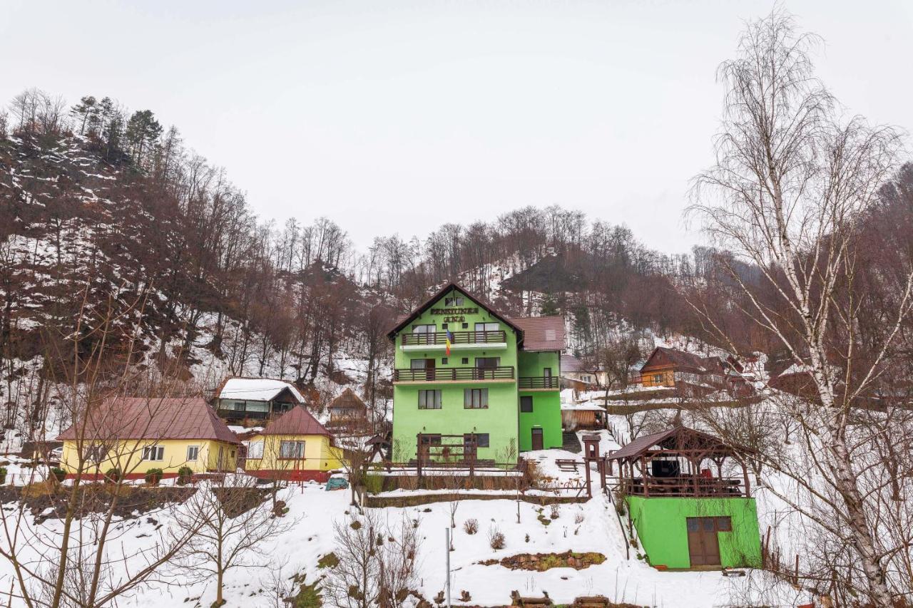 Pensiunea Ana Cavnic Exteriör bild